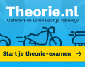 Bekijk details van Theorie.nl